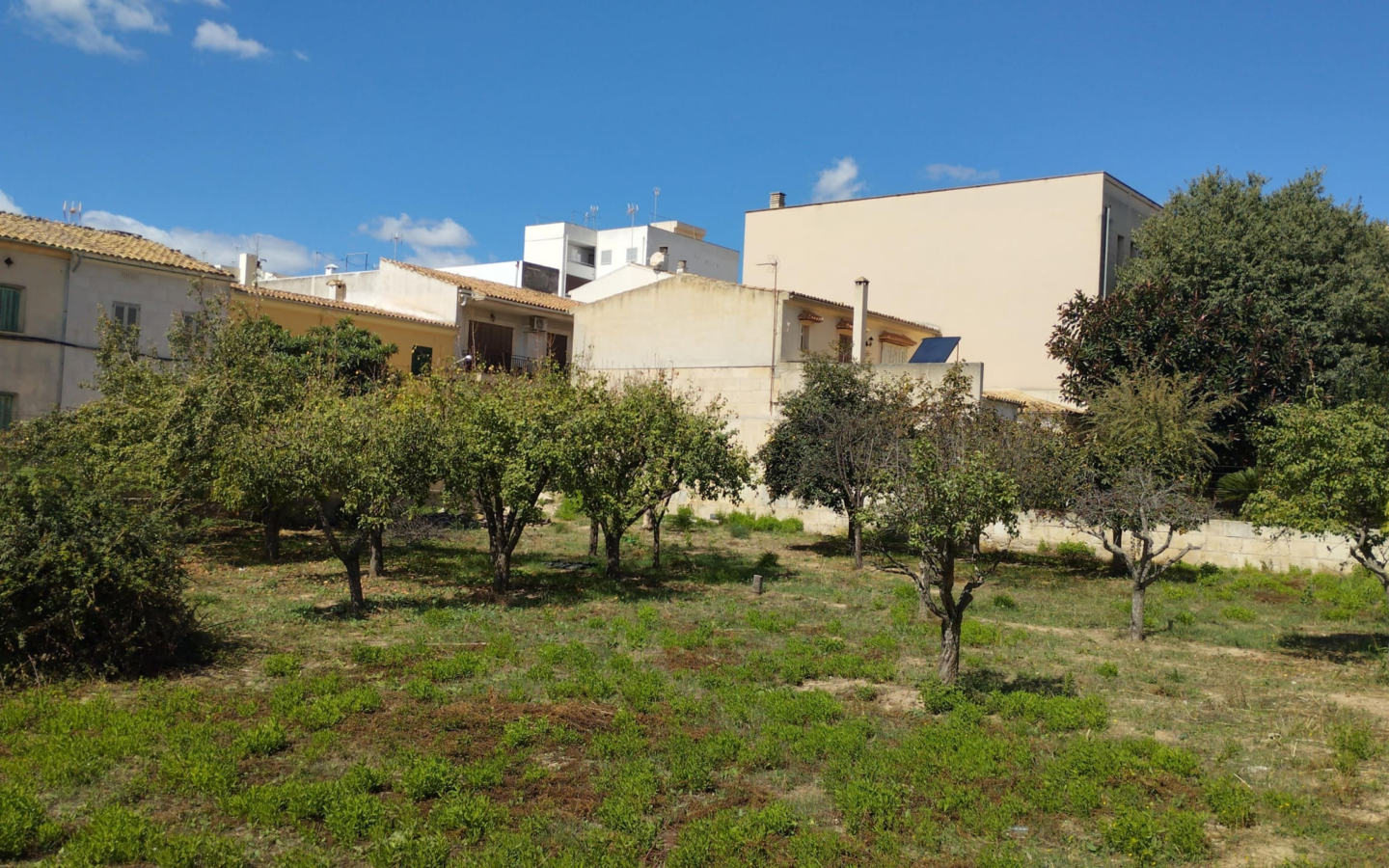 Land In Lloseta, Spain (1.100 M² Plot)