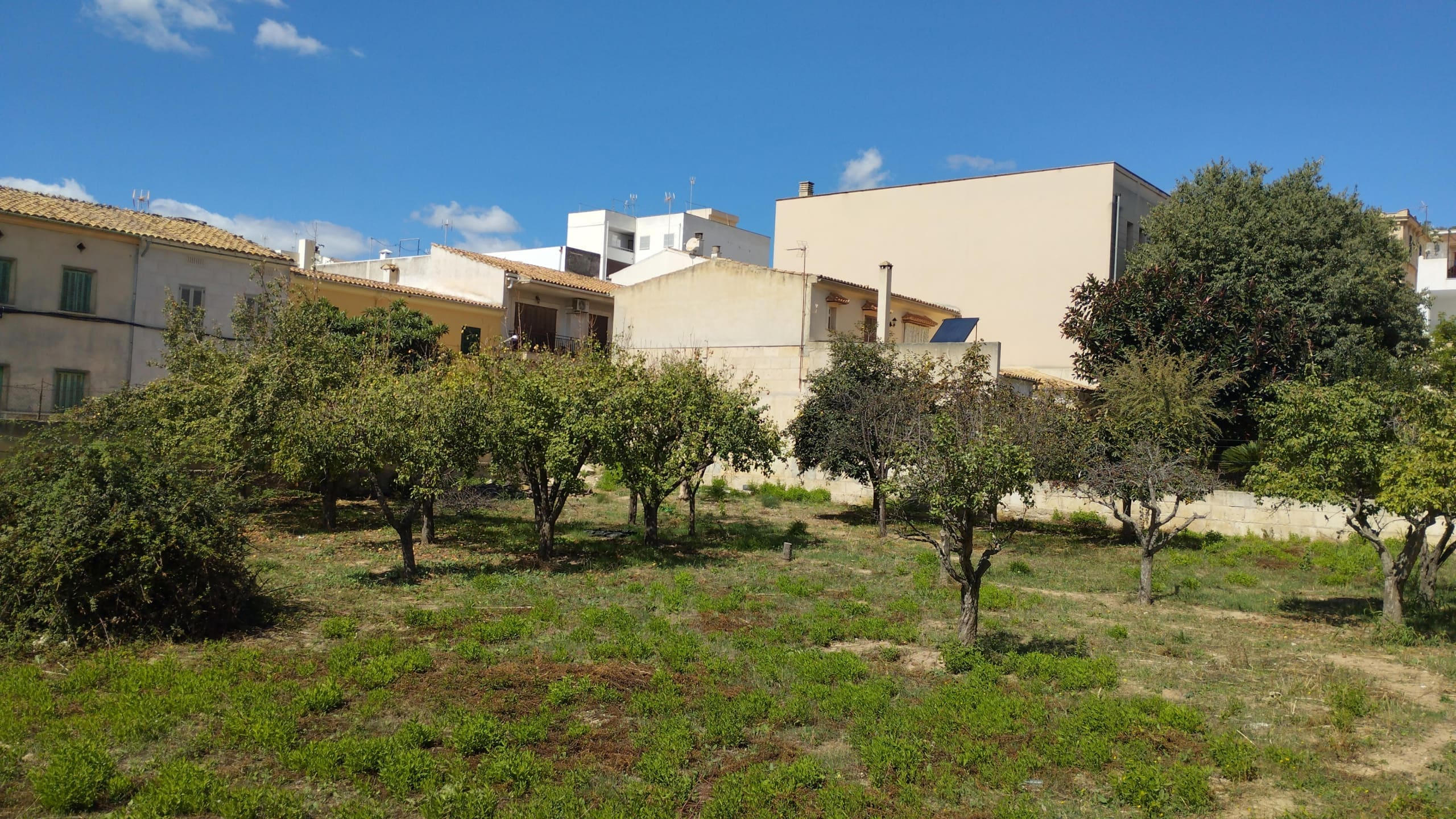 Land In Lloseta, Spain (1.100 M² Plot)