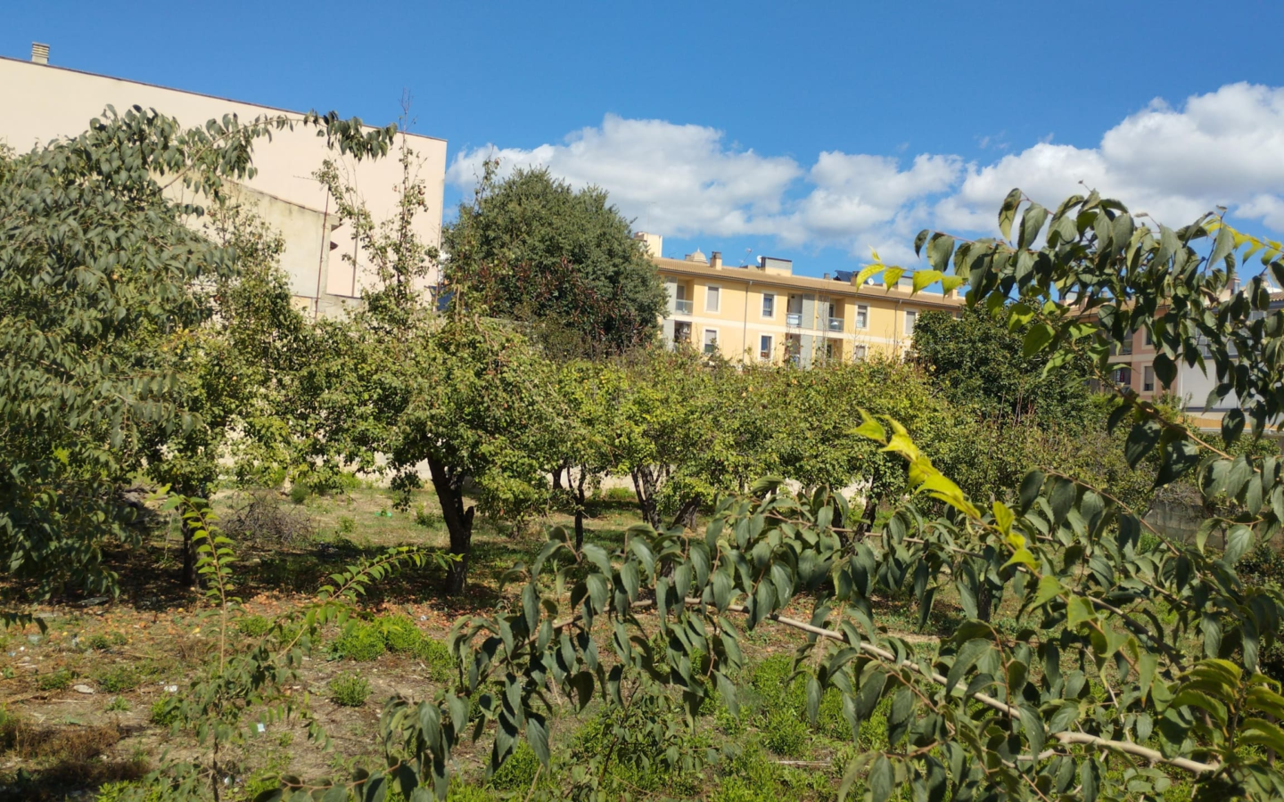 Land In Lloseta, Spain (1.100 M² Plot)