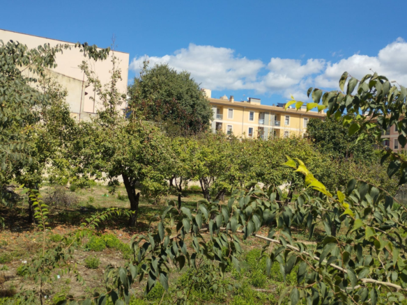 Land In Lloseta, Spain (1.100 M² Plot)