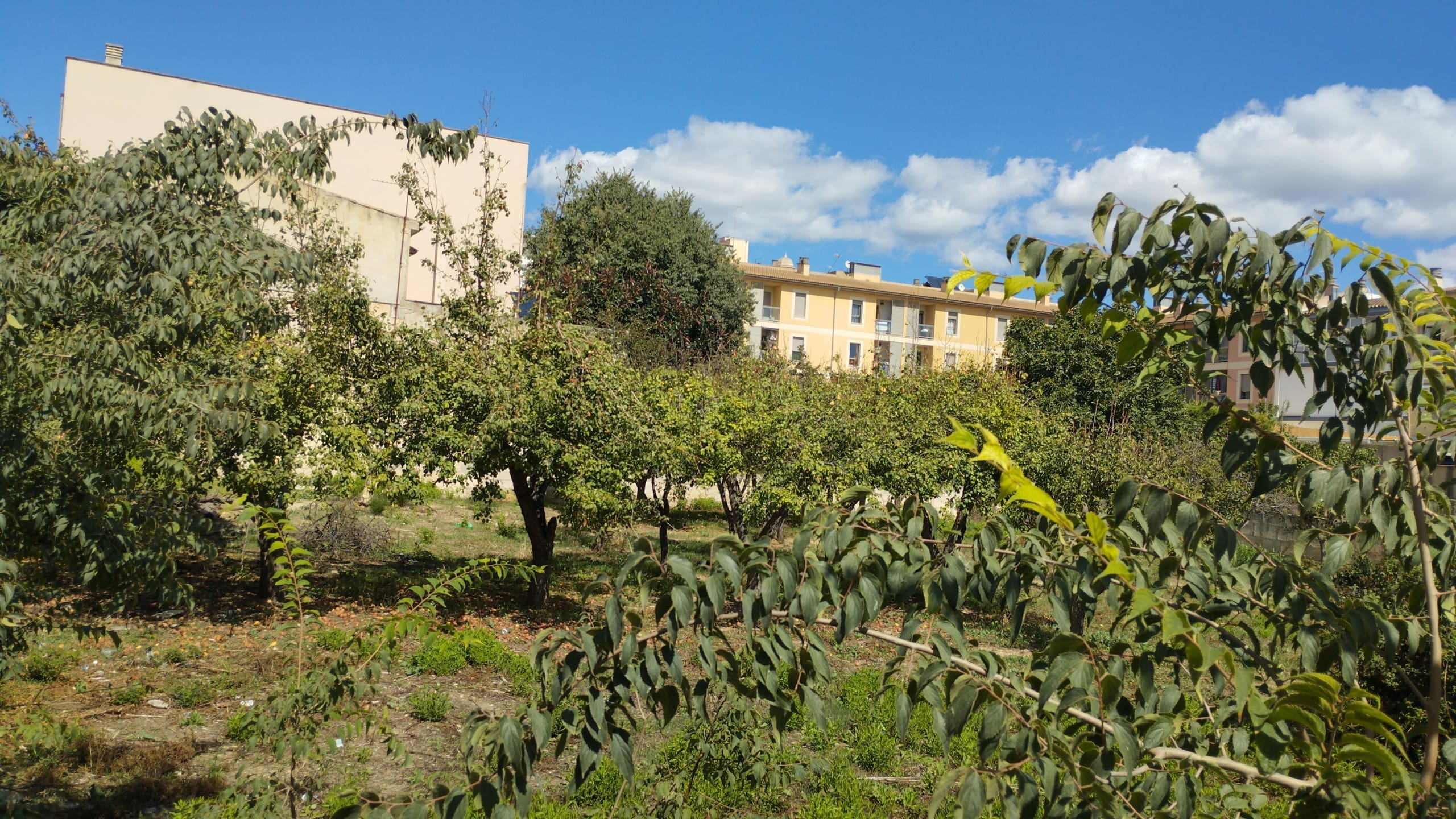 Land In Lloseta, Spain (1.100 M² Plot)