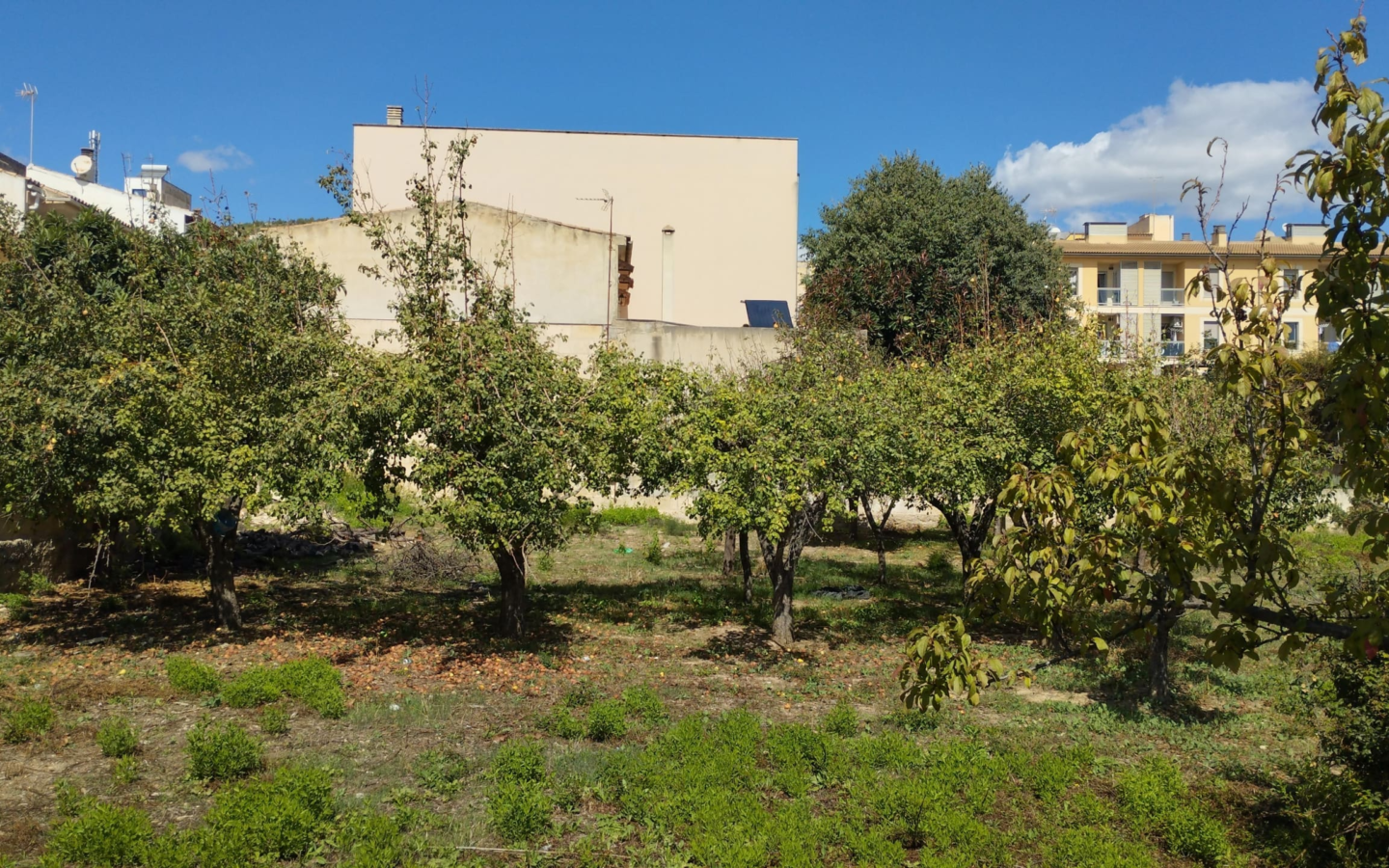 Land In Lloseta, Spain (1.100 M² Plot)