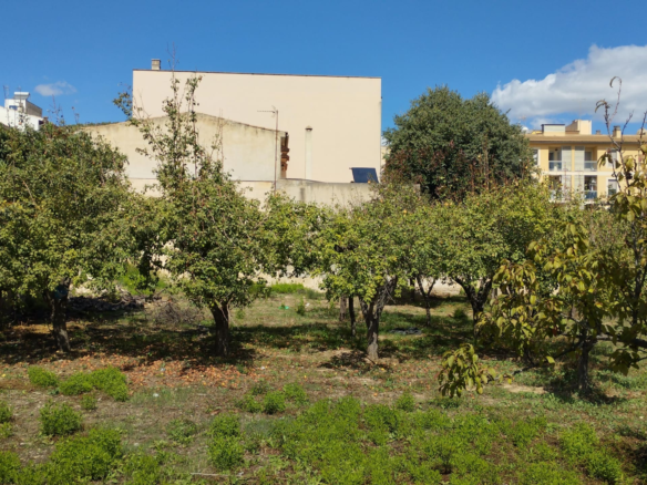 Land In Lloseta, Spain (1.100 M² Plot)