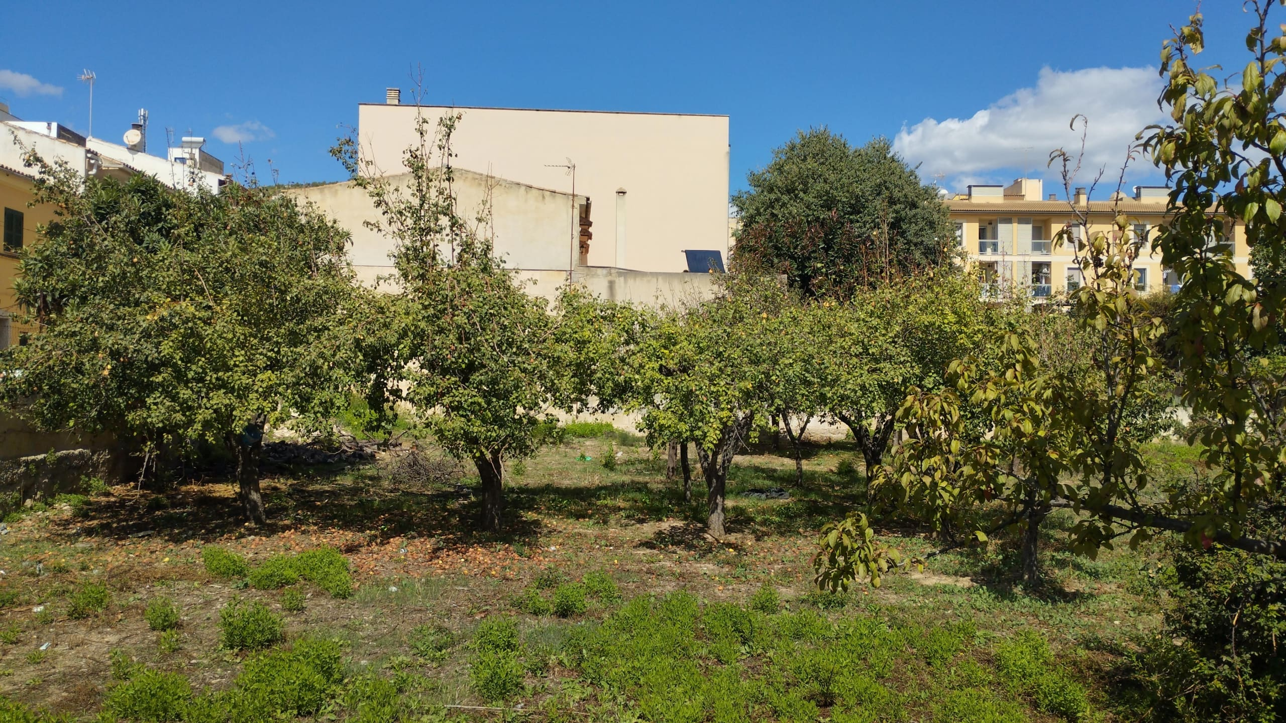 Land In Lloseta, Spain (1.100 M² Plot)