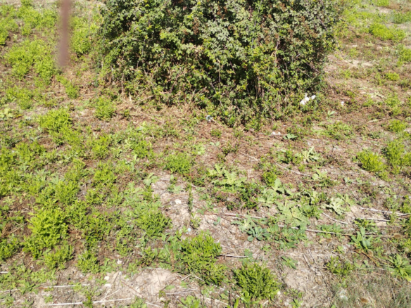 Land In Lloseta, Spain (1.100 M² Plot)