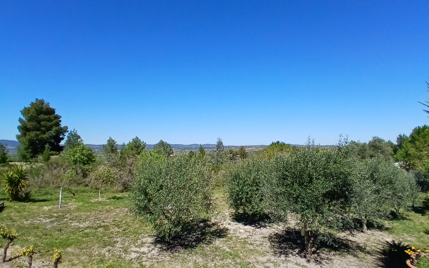 4-bedroom Detached House In Murviel Les Beziers, France (222 M²)