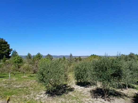 4-bedroom Detached House In Murviel Les Beziers, France (222 M²)