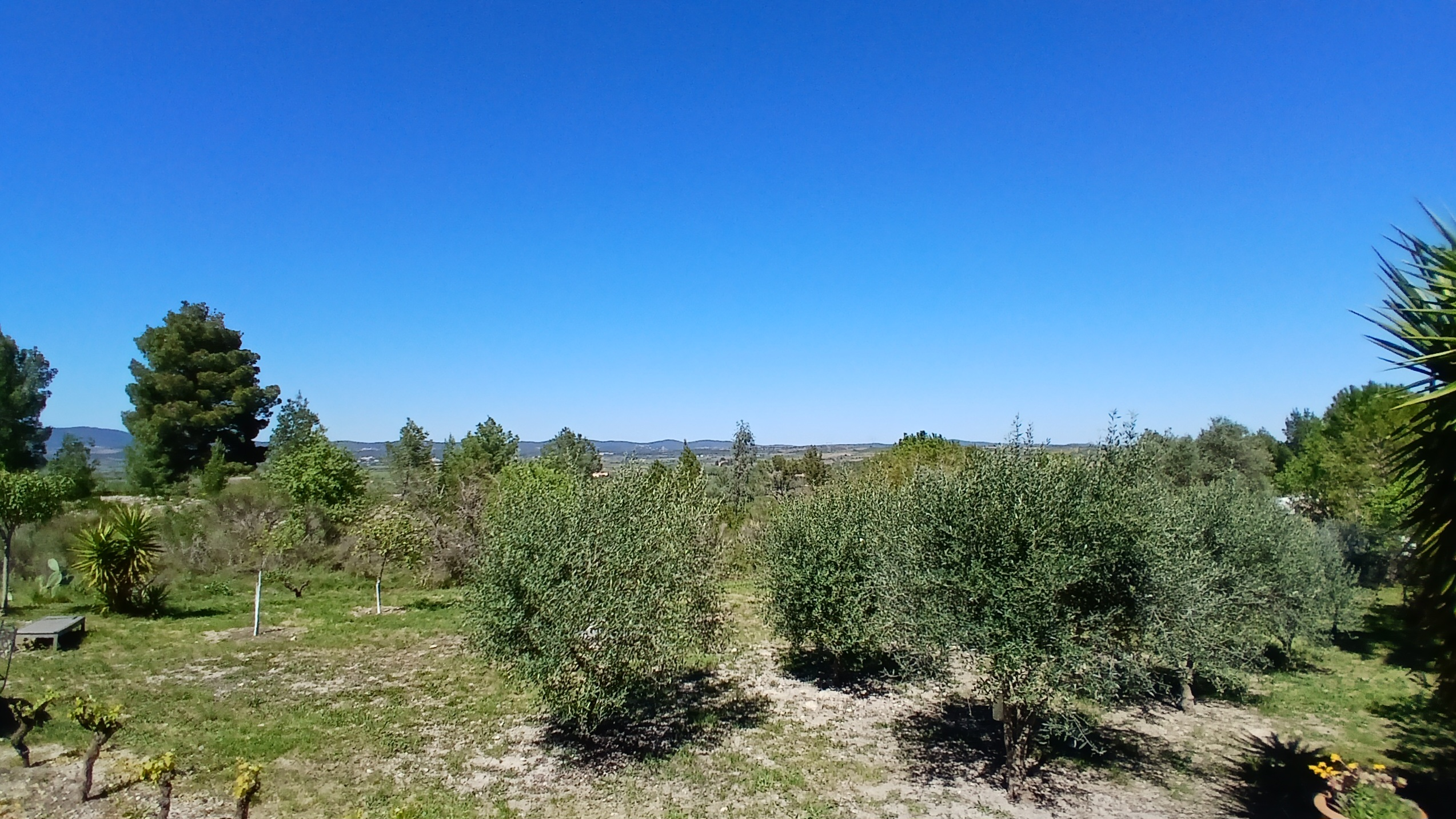4-bedroom Detached House In Murviel Les Beziers, France (222 M²)