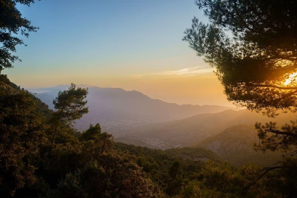 Land In Mancor De La Vall, Spain (574 M² Plot)