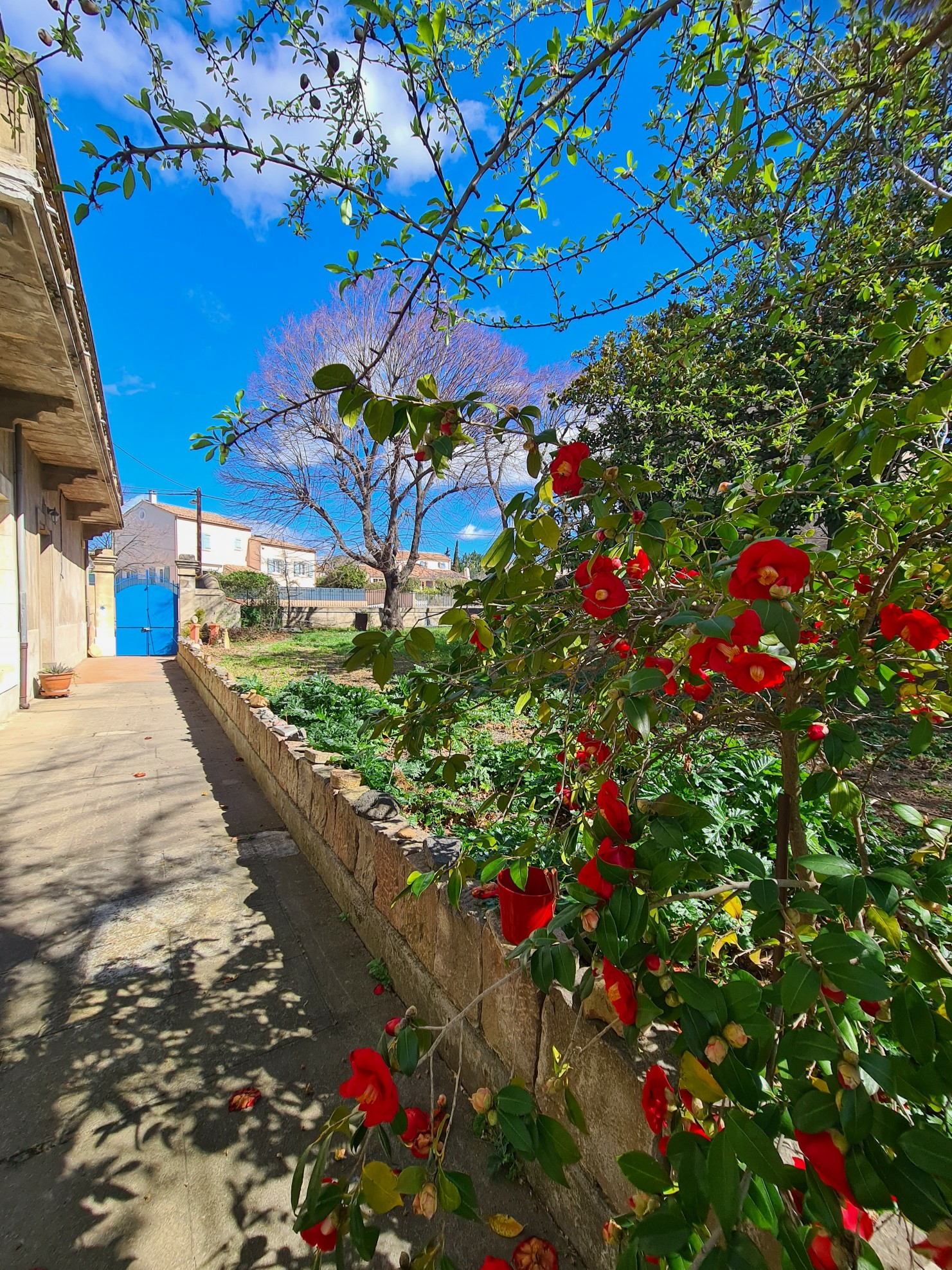 6-bedroom House In Beziers, France (311 M²)