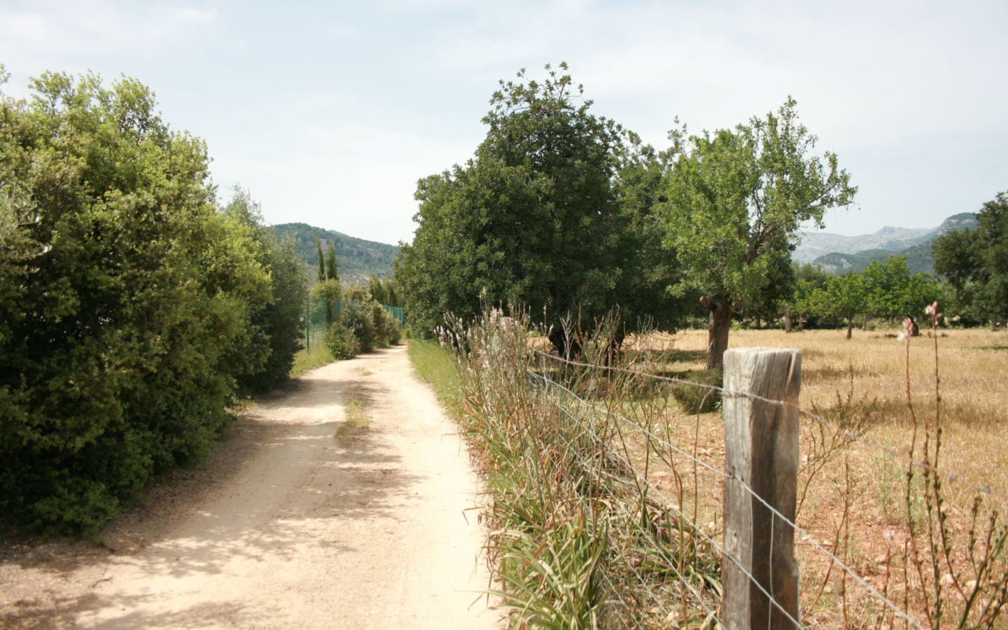 Land In Lloseta, Spain (34.784 M² Plot)
