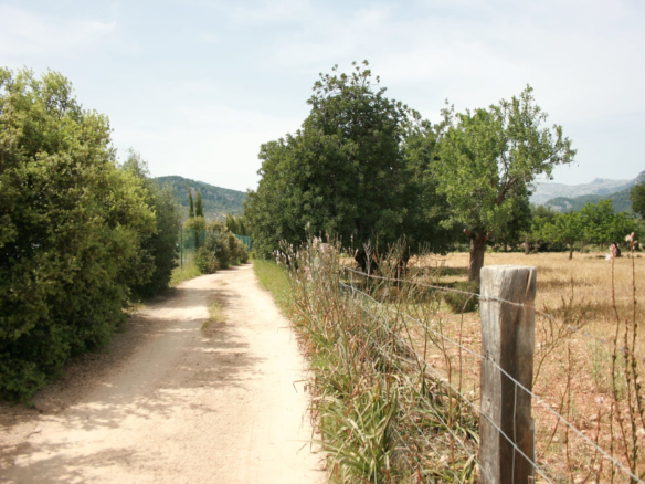 Land In Lloseta, Spain (34.784 M² Plot)