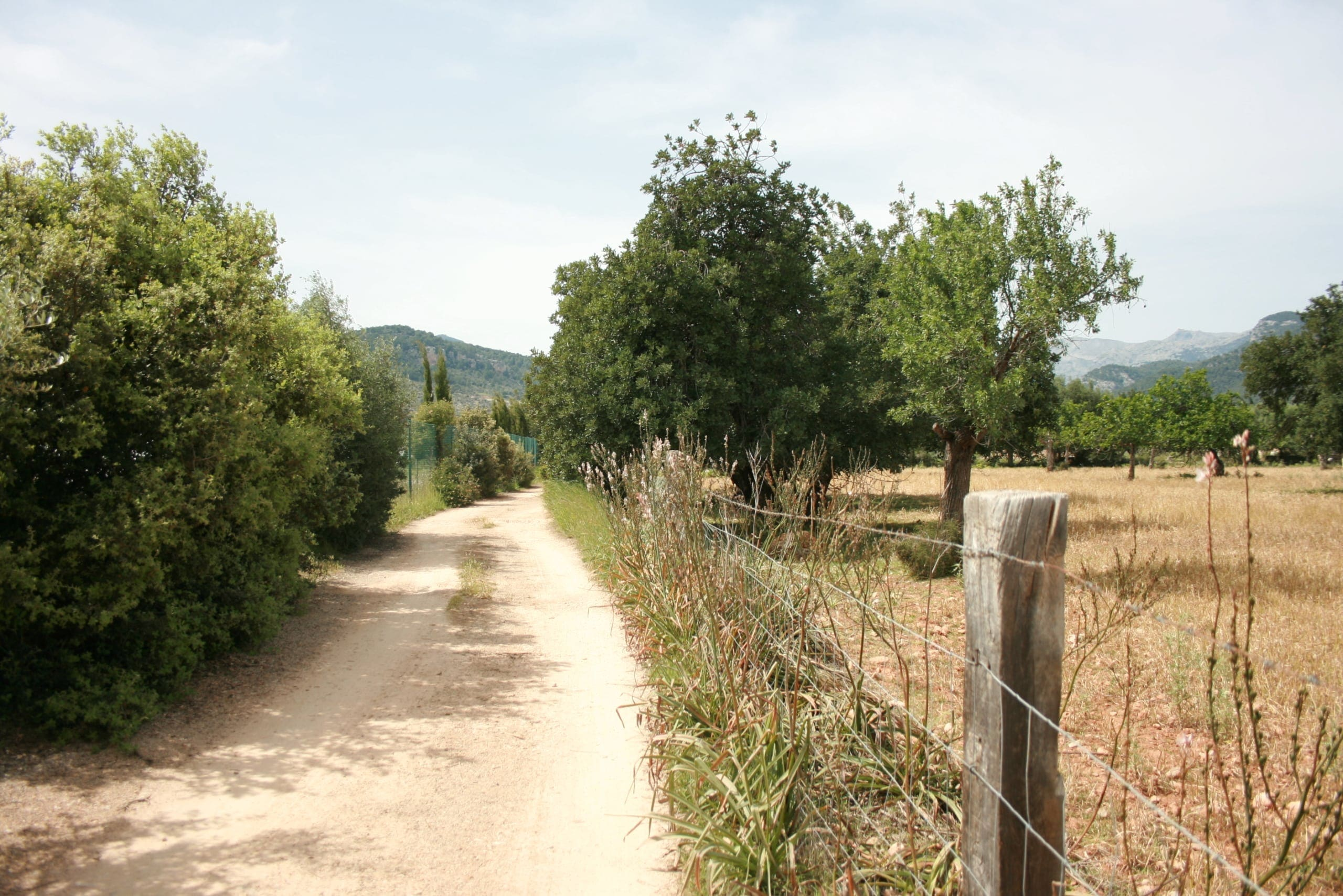 Land In Lloseta, Spain (34.784 M² Plot)