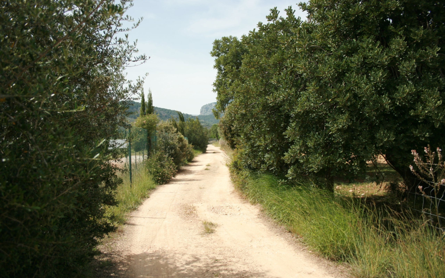 Land In Lloseta, Spain (34.784 M² Plot)