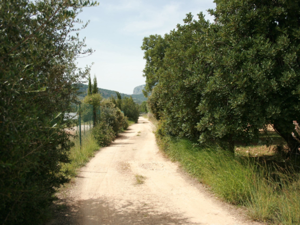 Land In Lloseta, Spain (34.784 M² Plot)