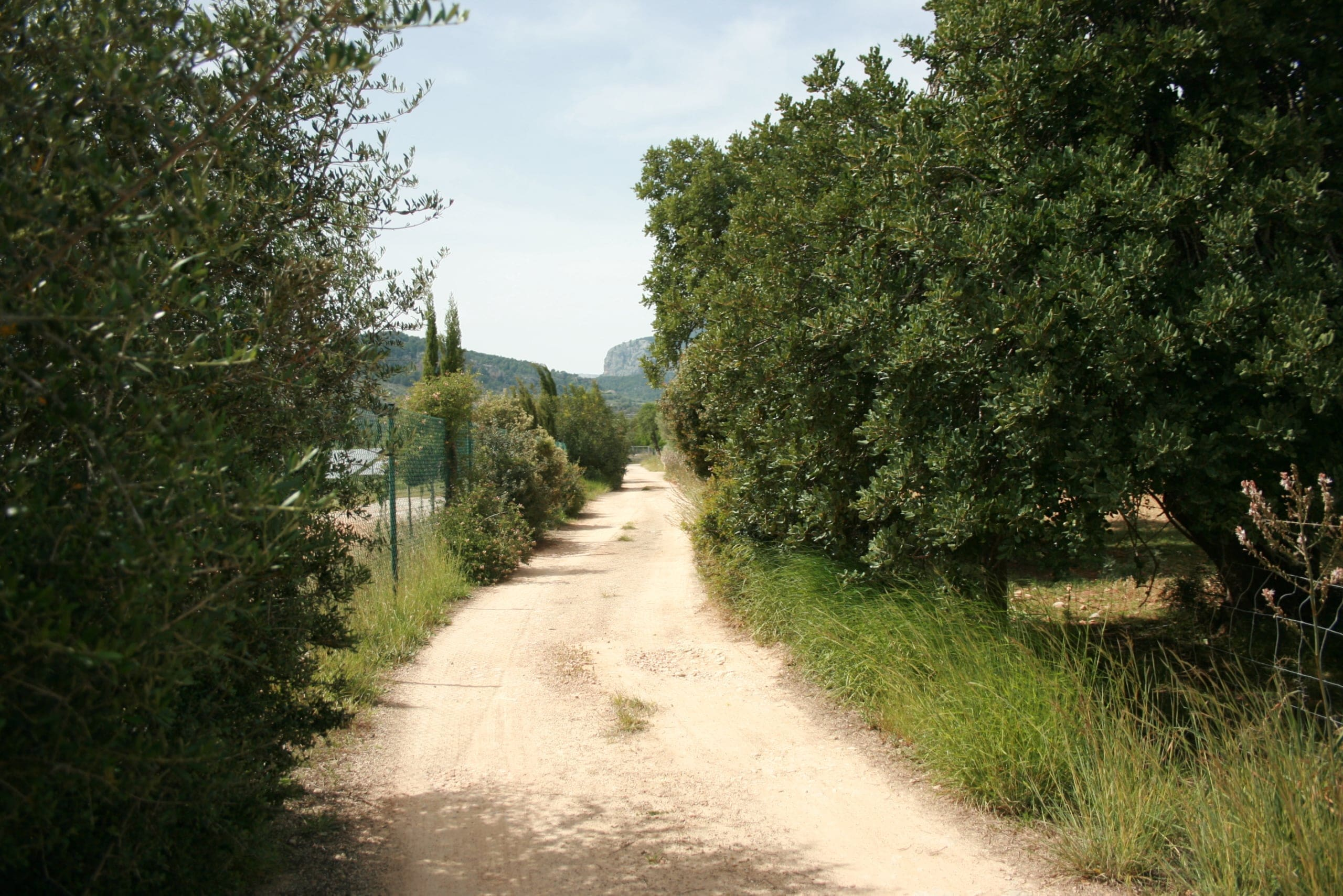 Land In Lloseta, Spain (34.784 M² Plot)