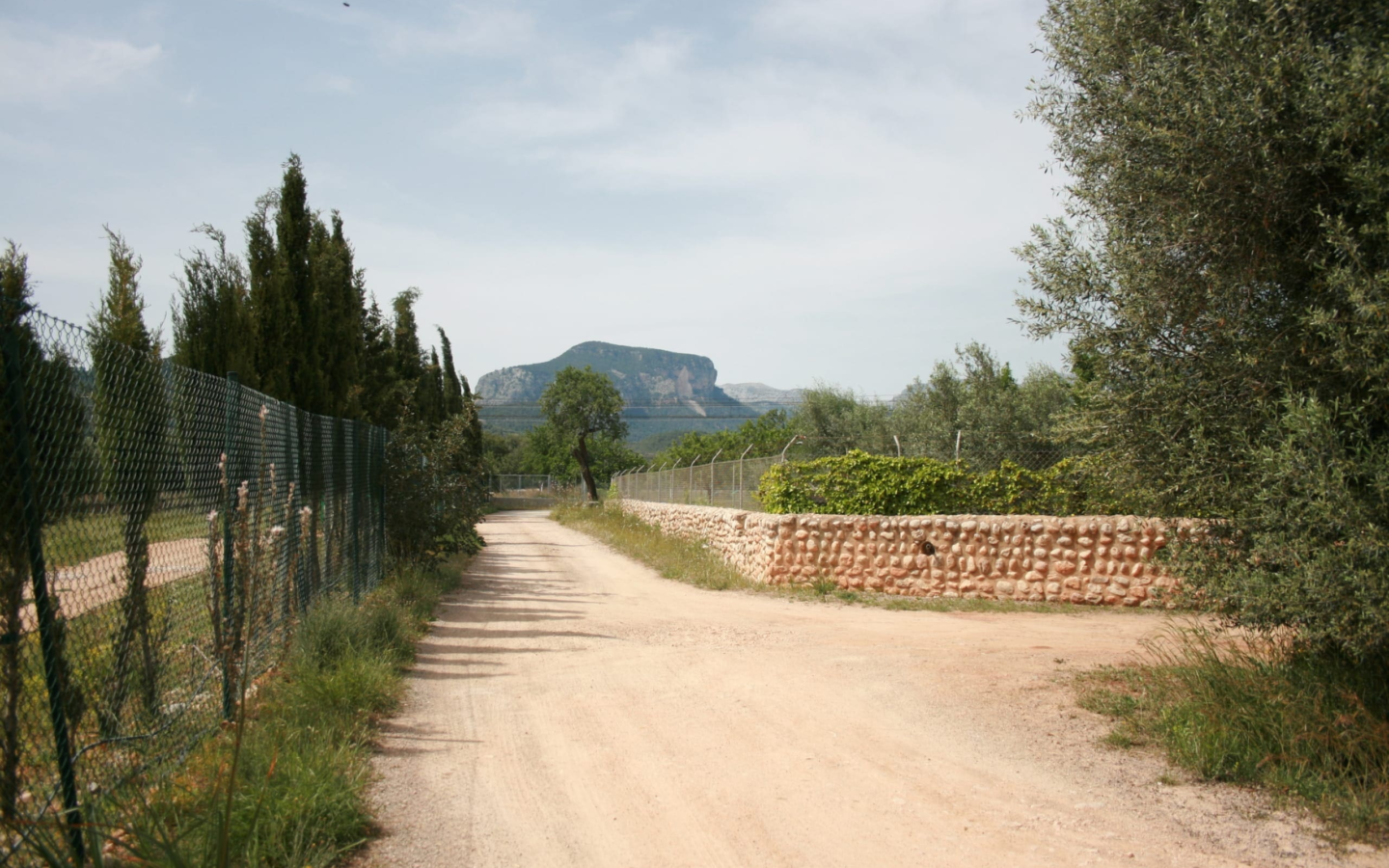 Land In Lloseta, Spain (34.784 M² Plot)