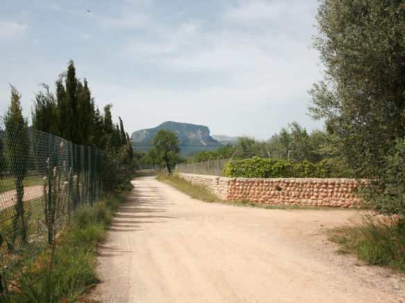 Land In Lloseta, Spain (34.784 M² Plot)