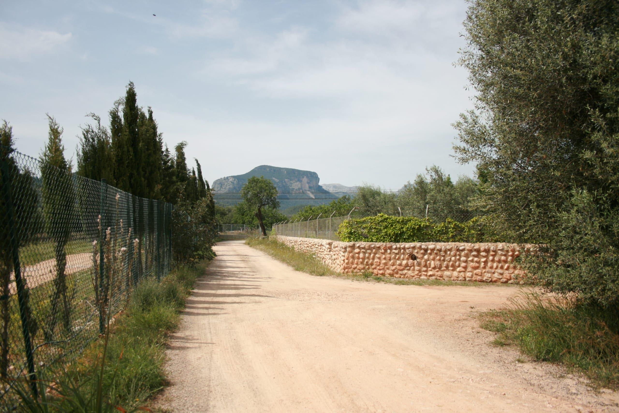 Land In Lloseta, Spain (34.784 M² Plot)