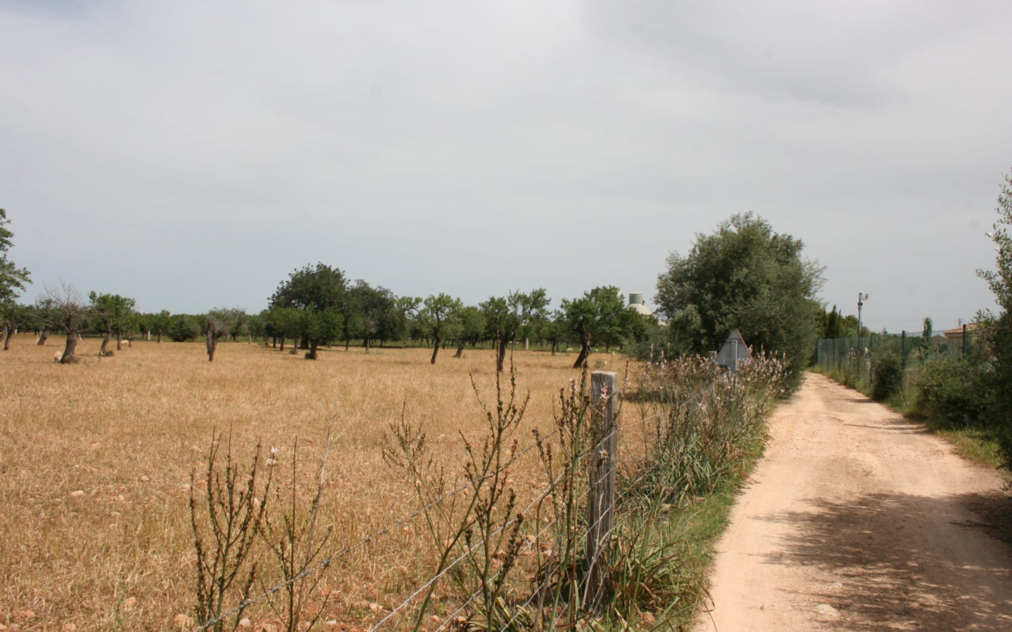 Land In Lloseta, Spain (34.784 M² Plot)