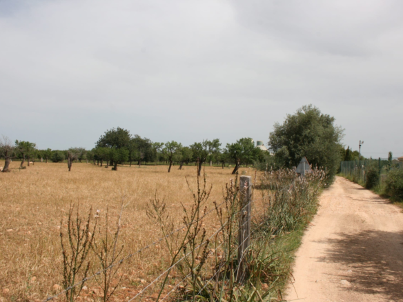 Land In Lloseta, Spain (34.784 M² Plot)