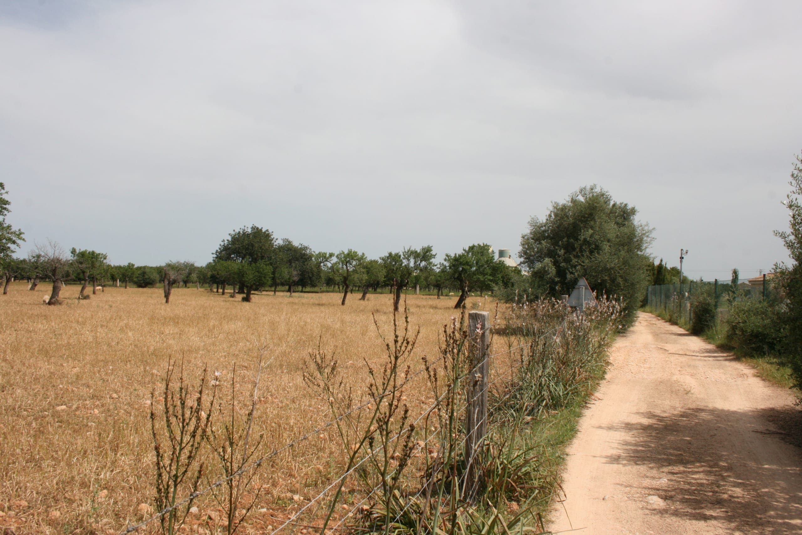 Land In Lloseta, Spain (34.784 M² Plot)