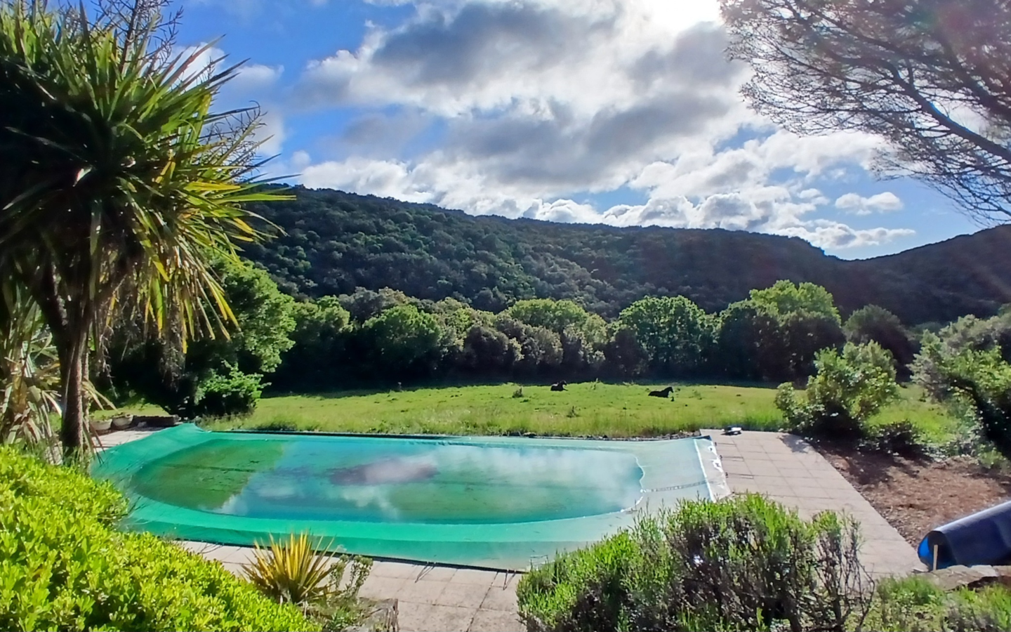 5-bedroom Detached House In Saint Chinian, France (300 M²)