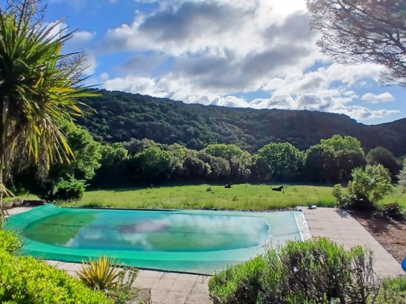 5-bedroom Detached House In Saint Chinian, France (300 M²)