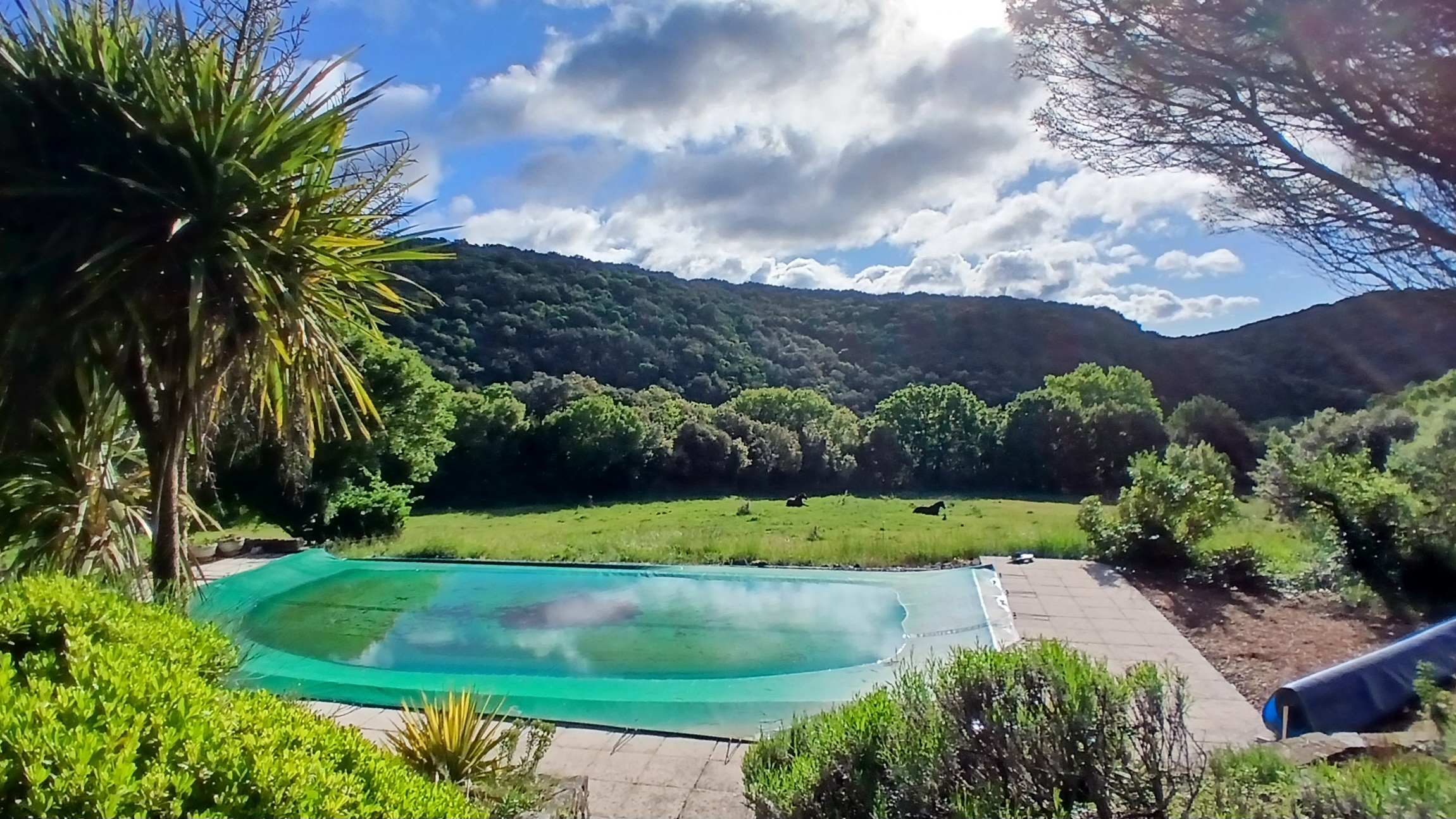 5-bedroom Detached House In Saint Chinian, France (300 M²)