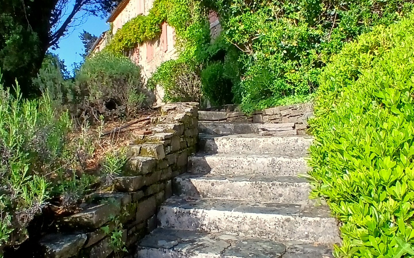 5-bedroom Detached House In Saint Chinian, France (300 M²)