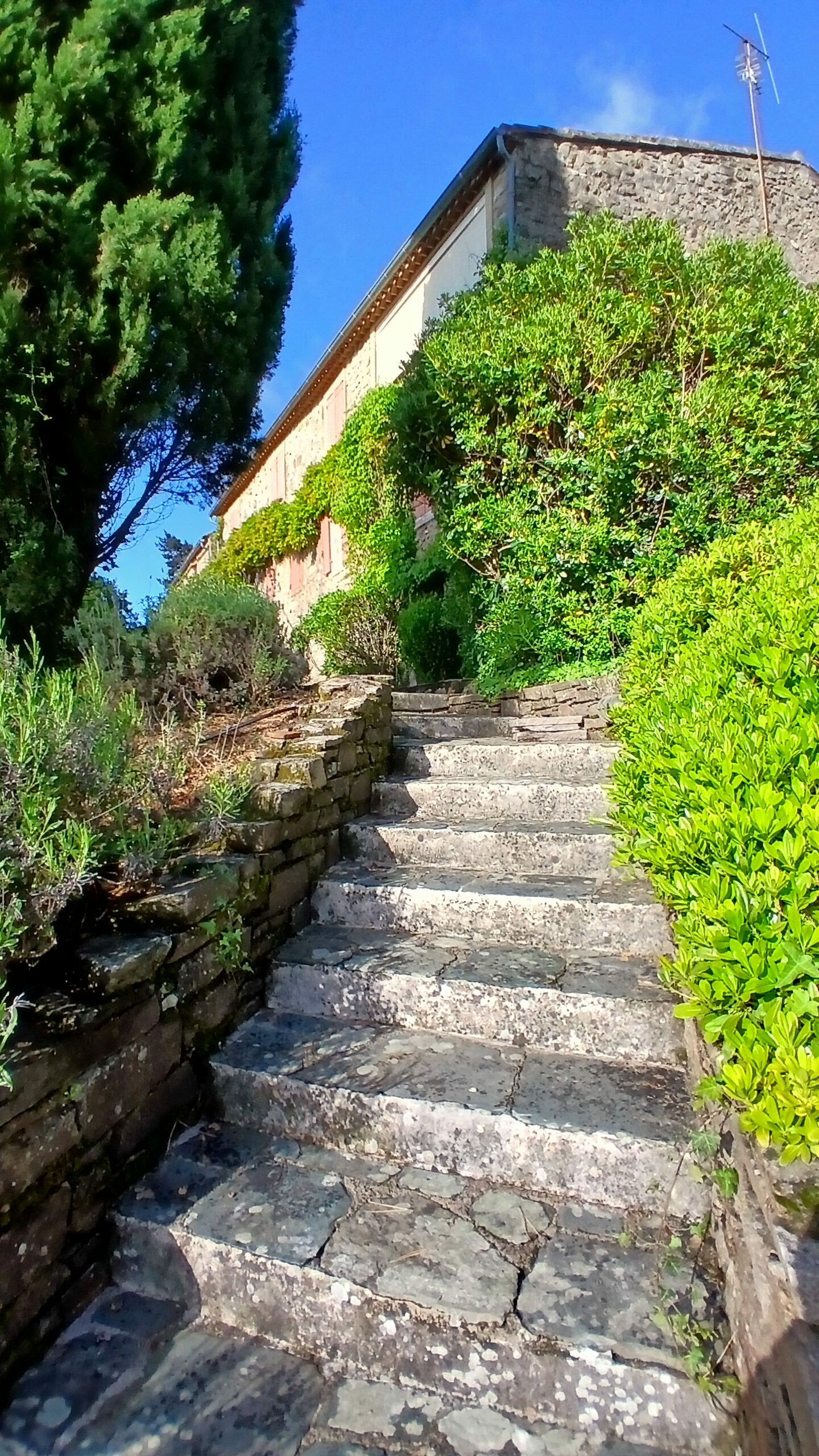 5-bedroom Detached House In Saint Chinian, France (300 M²)