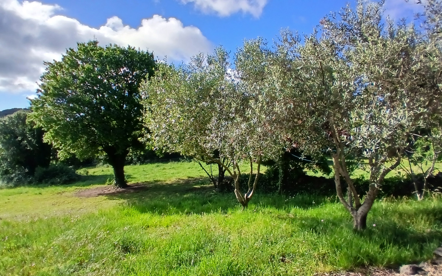 5-bedroom Detached House In Saint Chinian, France (300 M²)