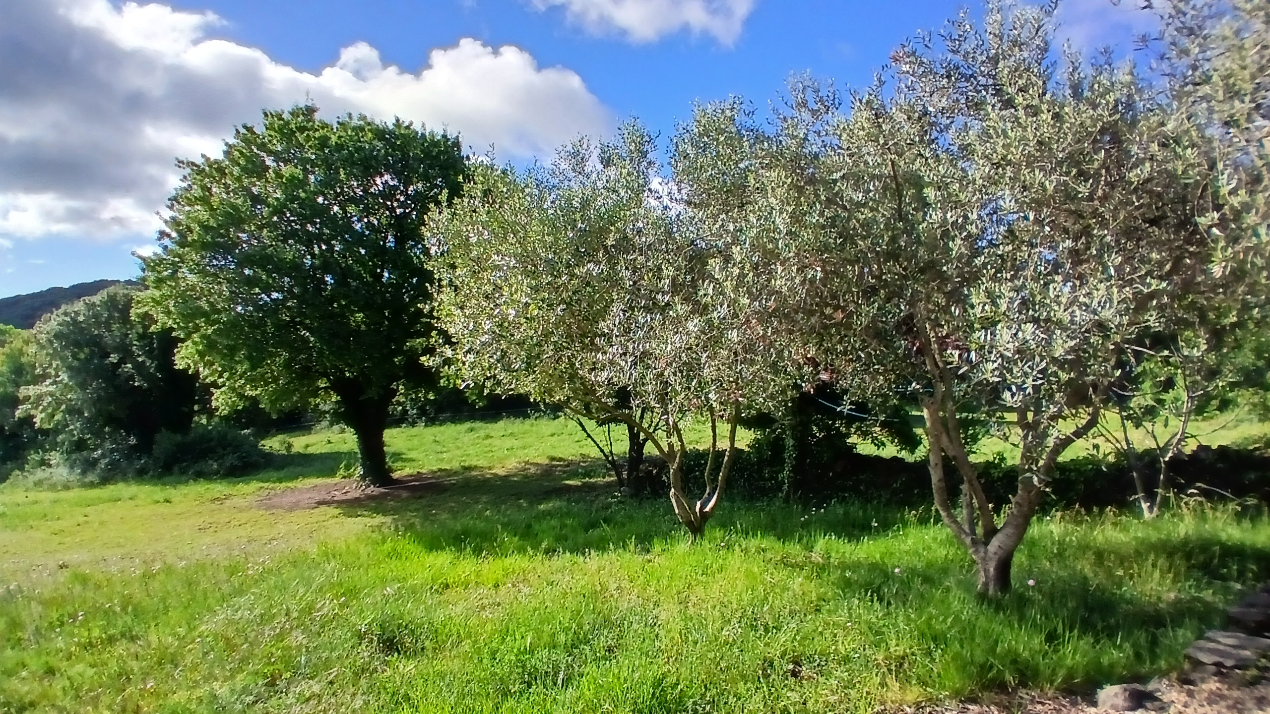 5-bedroom Detached House In Saint Chinian, France (300 M²)