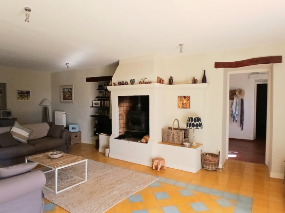 5-bedroom Detached House In Saint Chinian, France (300 M²)