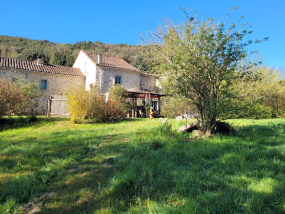 8-bedroom House In Olargues, France (270 M²)