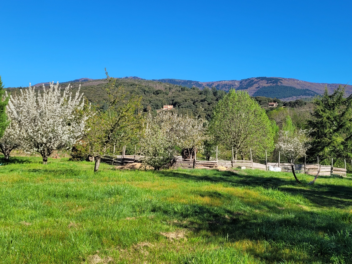 8-bedroom House In Olargues, France (270 M²)