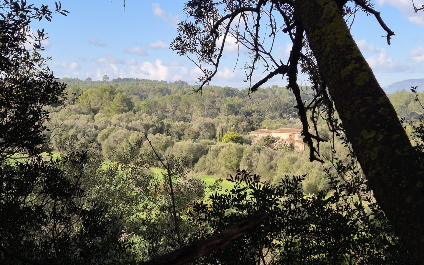 Land In Costitx, Spain (74 M²)