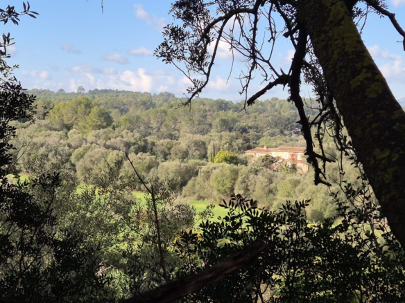 Land In Costitx, Spain (74 M²)
