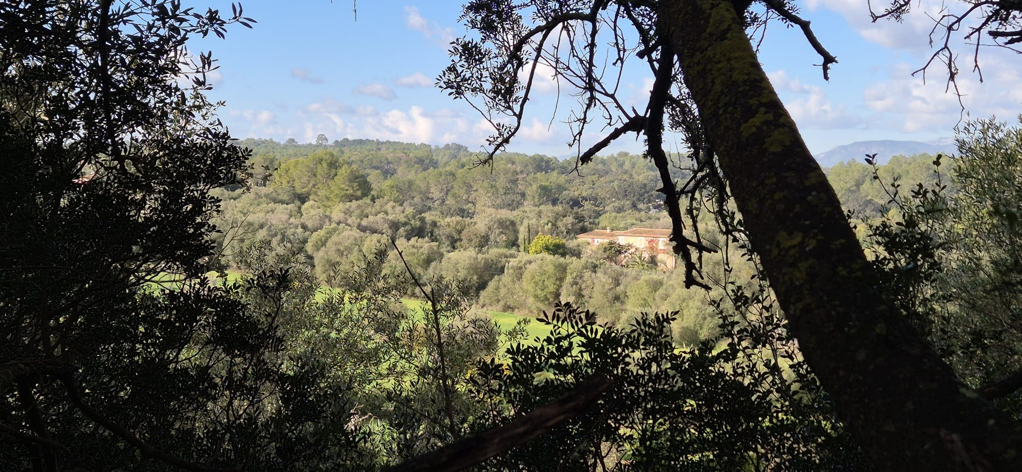 Land In Costitx, Spain (74 M²)
