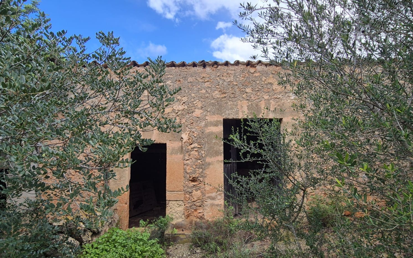 Land In Costitx, Spain (74 M²)