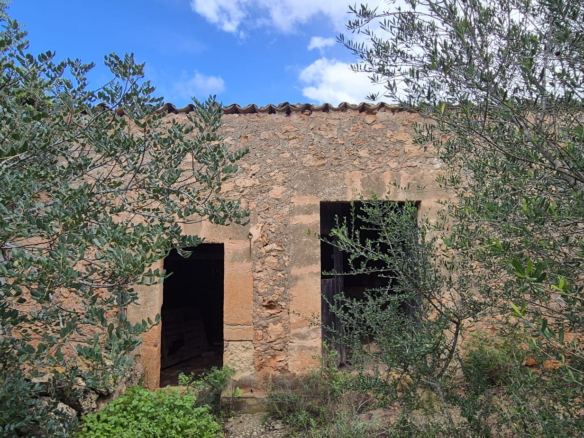 Land In Costitx, Spain (74 M²)