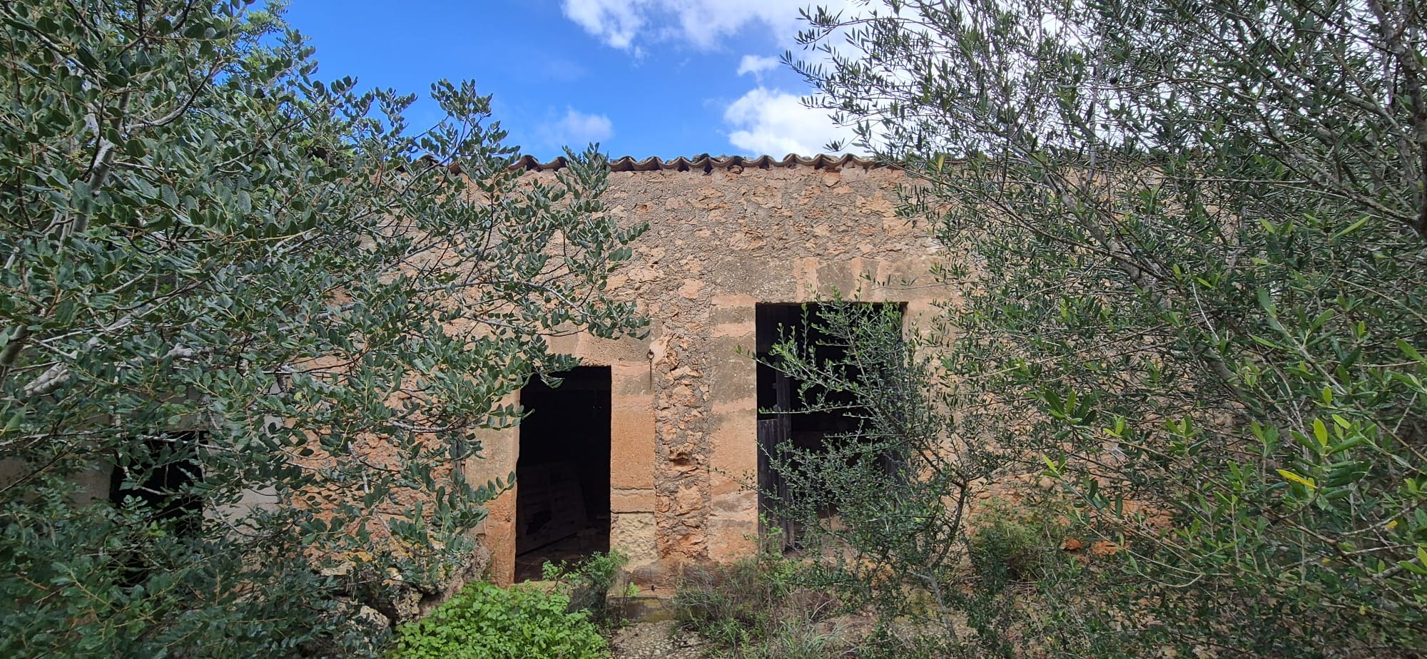 Land In Costitx, Spain (74 M²)