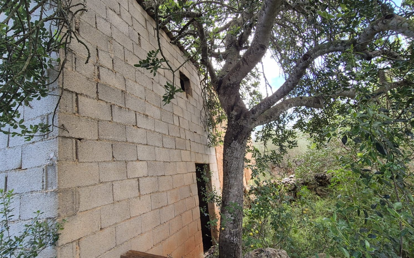 Land In Costitx, Spain (74 M²)