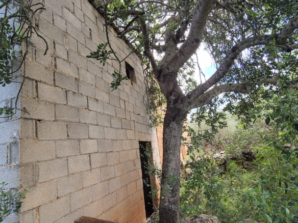 Land In Costitx, Spain (74 M²)