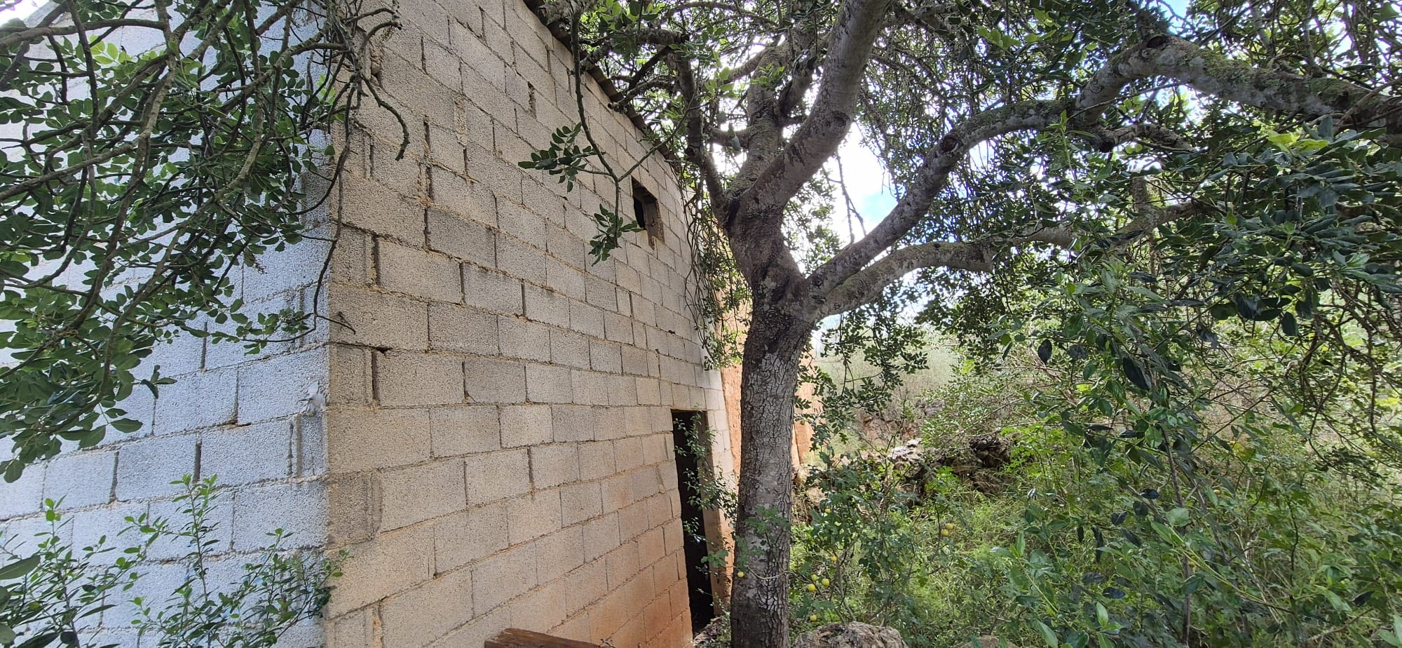 Land In Costitx, Spain (74 M²)