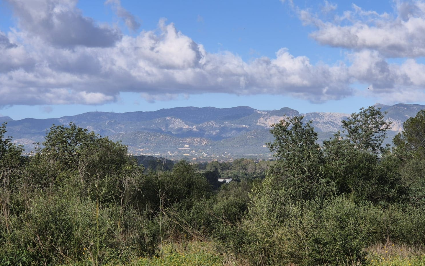 Land In Costitx, Spain (74 M²)