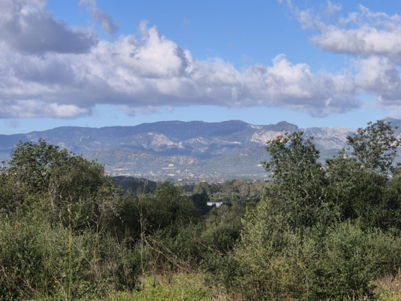 Land In Costitx, Spain (74 M²)