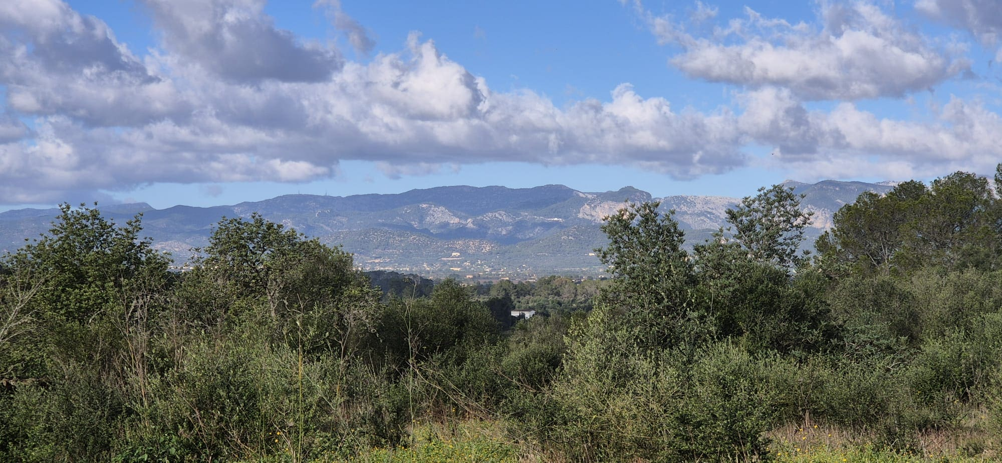 Land In Costitx, Spain (74 M²)