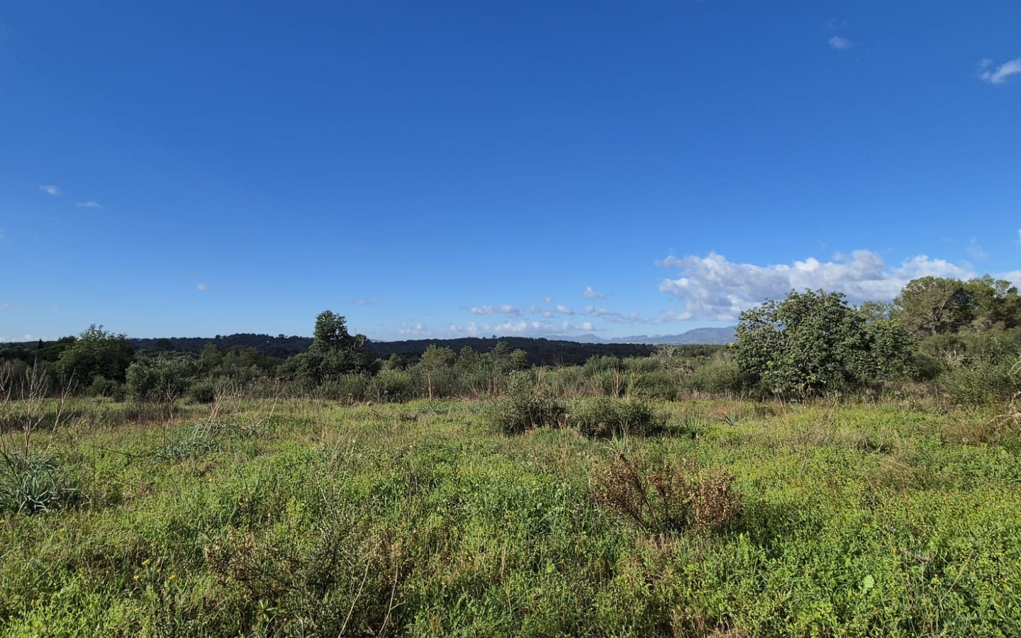 Land In Costitx, Spain (74 M²)