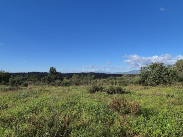 Land In Costitx, Spain (74 M²)